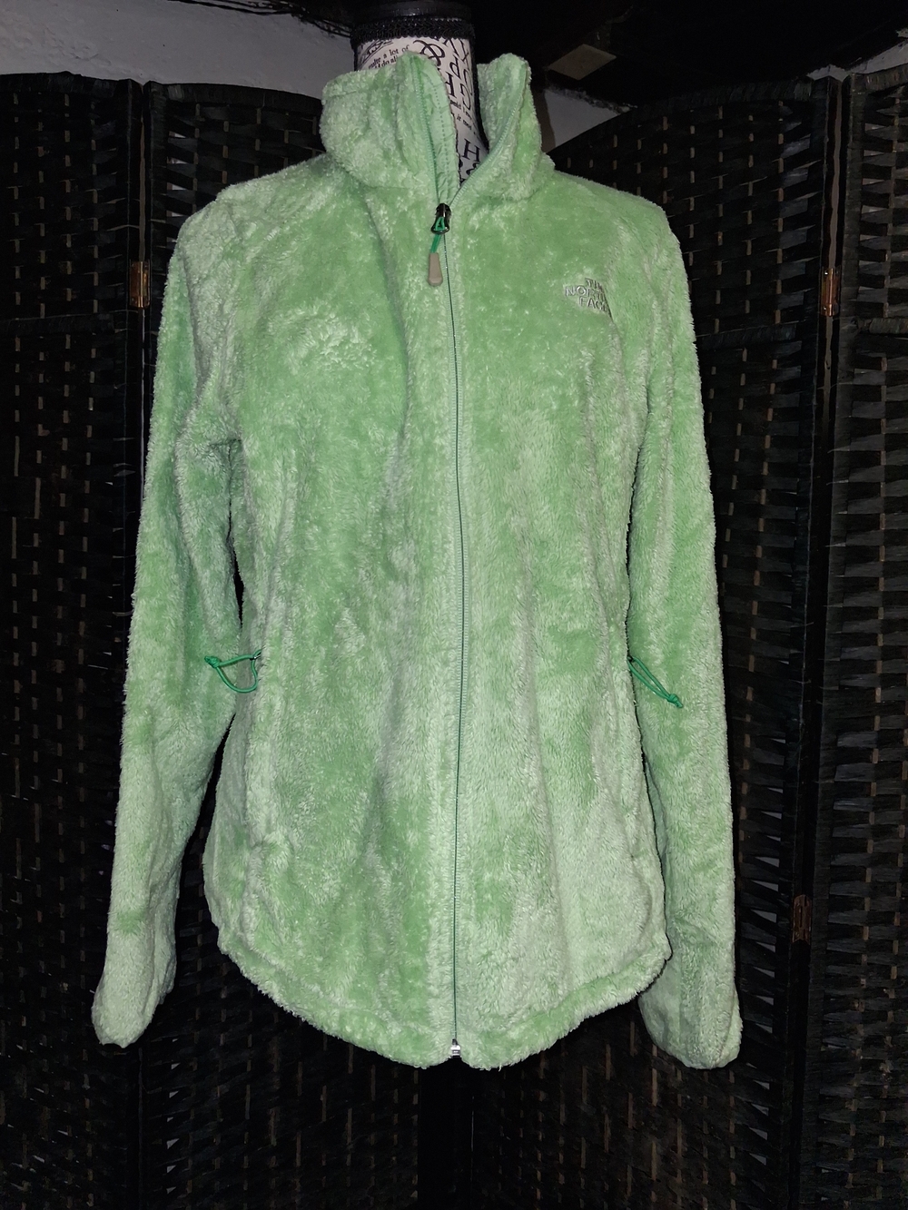 The North Face Mint Green Plush Fleece Jacket